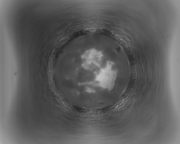 X0000113301105200909211115