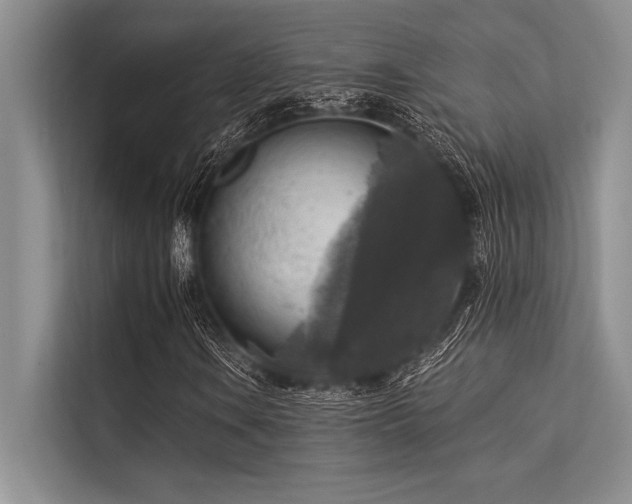 X0000113301106200909211115