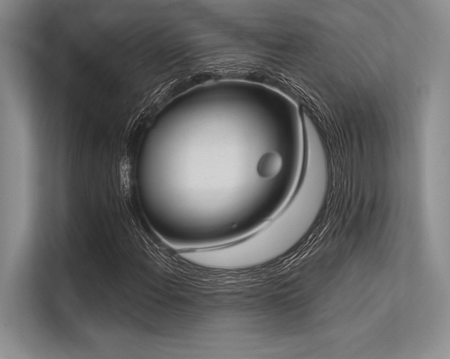 X0000113301108200909211115