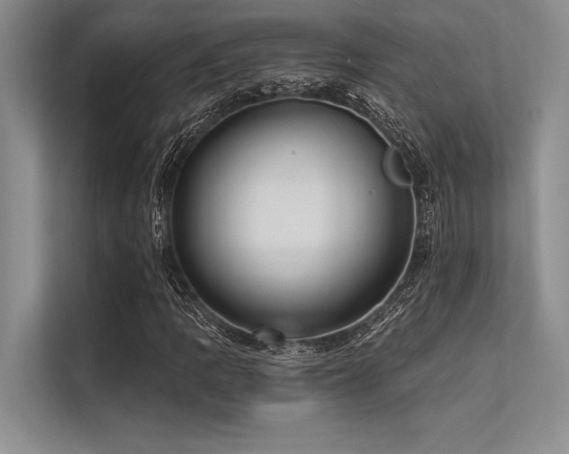 X0000113301109200909211115