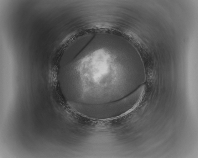 X0000113301110200909211115