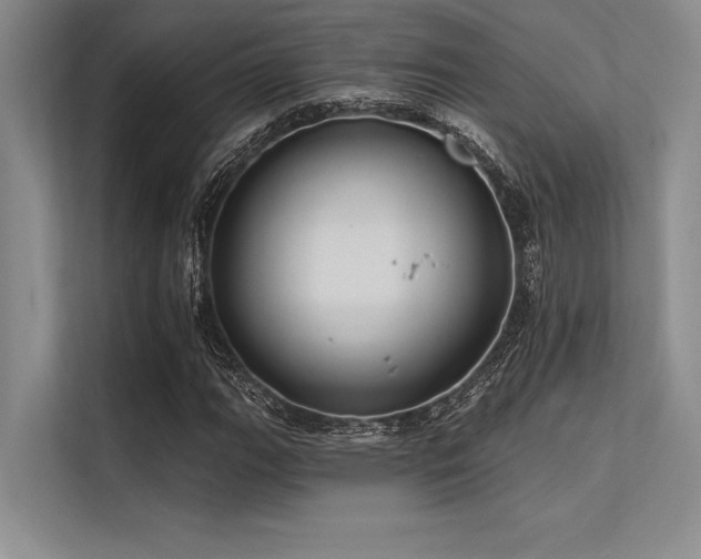 X0000113301111200909211115