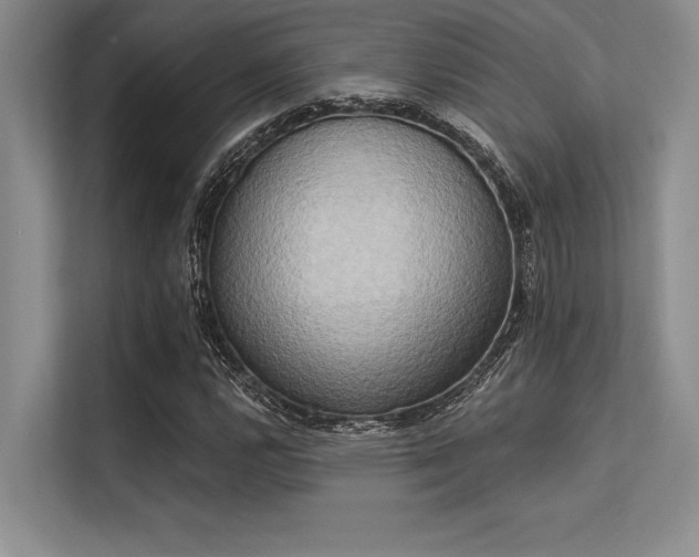 X0000113301112200909211115