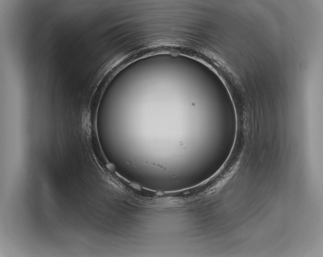 X0000113301113200909211115