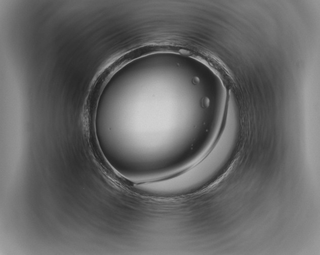 X0000113301114200909211115