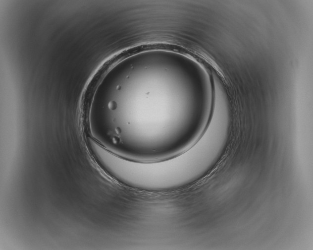 X0000113301116200909211115