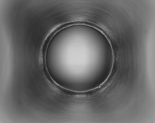 X0000113301118200909211115