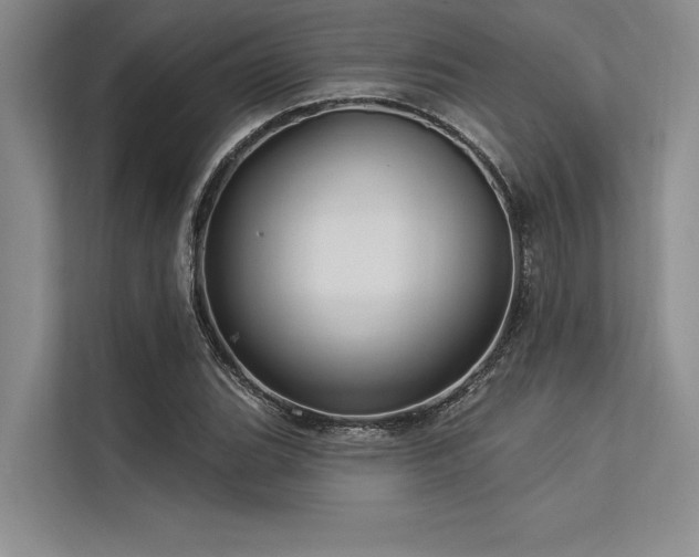 X0000113301119200909211115