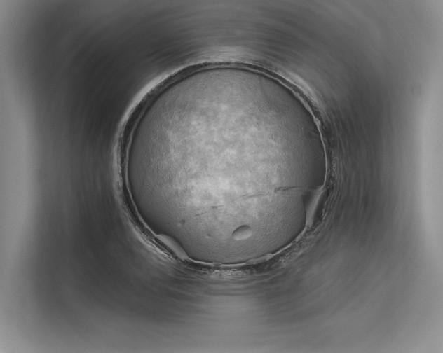 X0000113301120200909211115