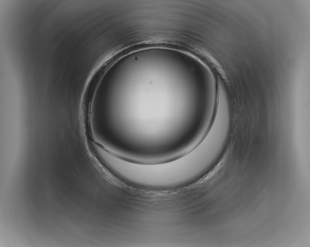 X0000113301122200909211115