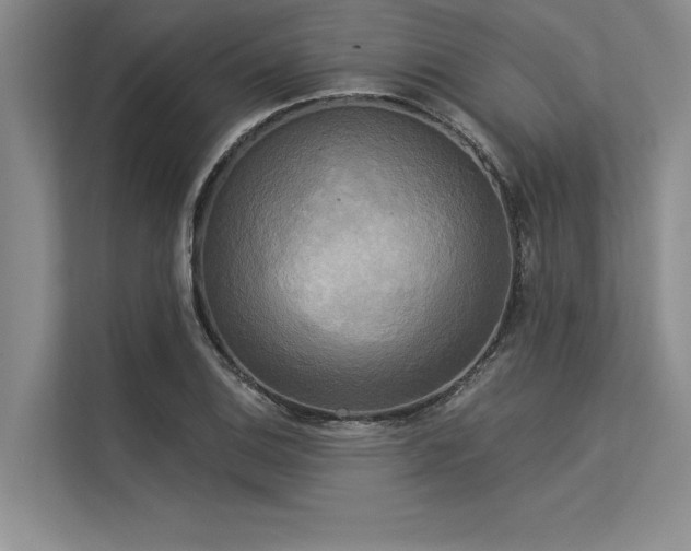 X0000113301124200909211115