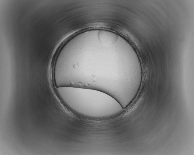 X0000113301125200909211115