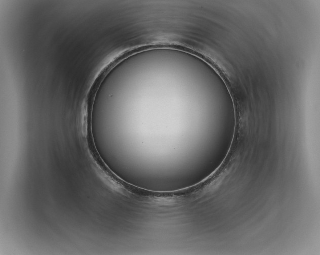 X0000113301126200909211115