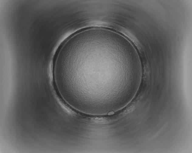 X0000113301128200909211115