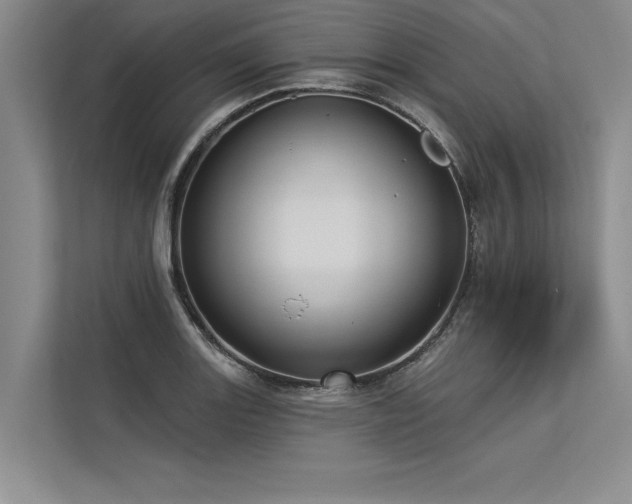 X0000113301131200909211116