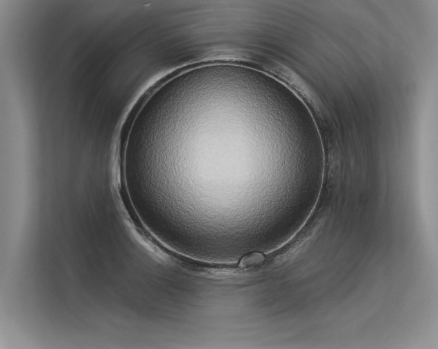 X0000113301132200909211116