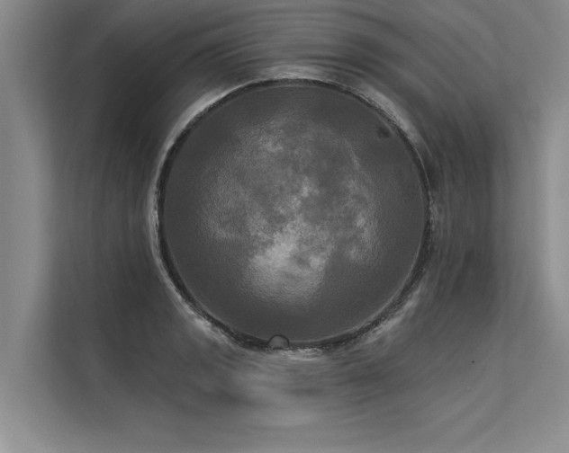 X0000113301133200909211116