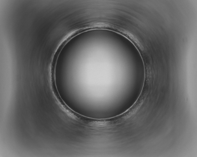 X0000113301134200909211116