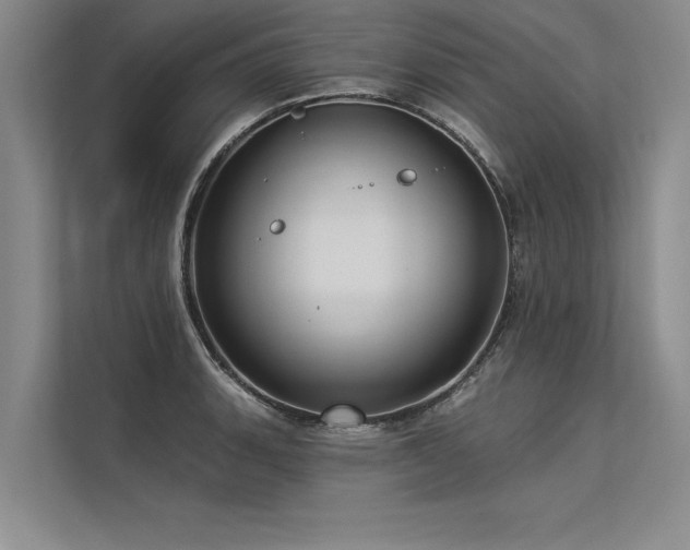 X0000113301135200909211116