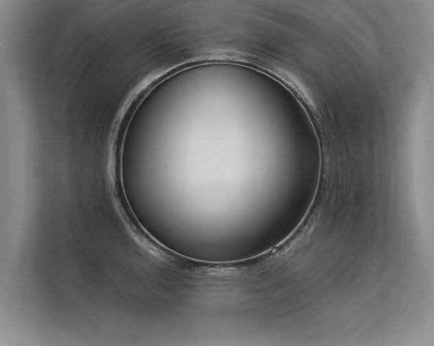 X0000113301136200909211116