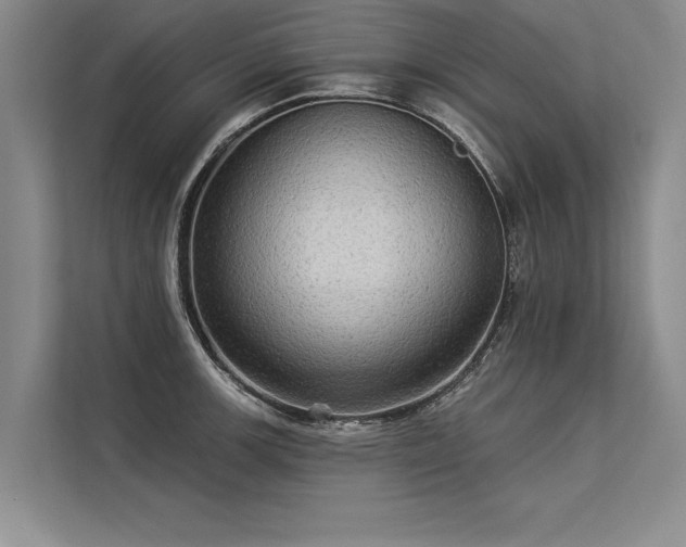 X0000113301139200909211116