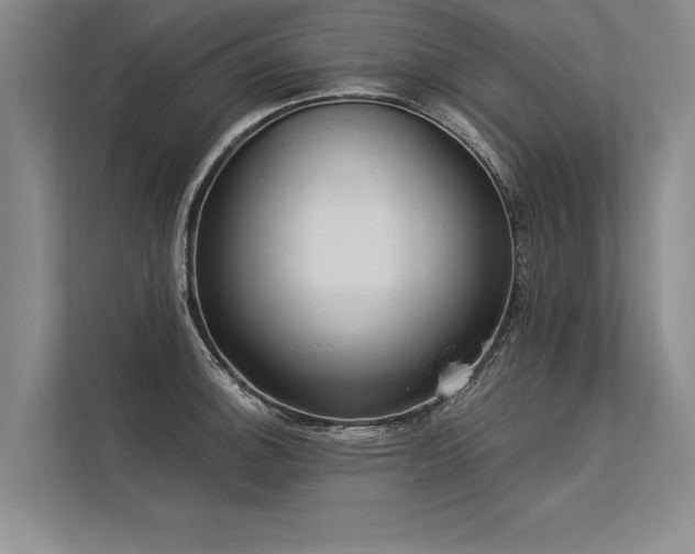 X0000113301140200909211116