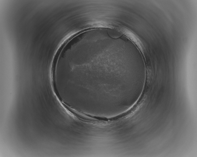 X0000113301141200909211116