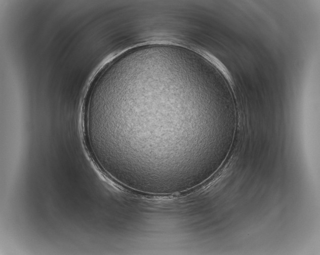 X0000113301144200909211116