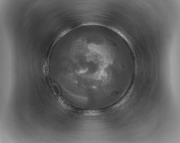 X0000113301145200909211116