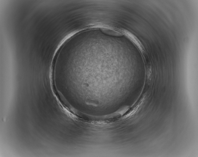 X0000113301149200909211116