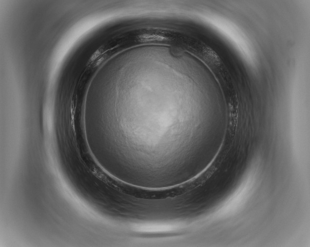 X0000113301151200909211116