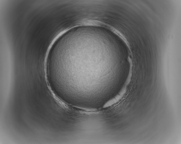 X0000113301152200909211116