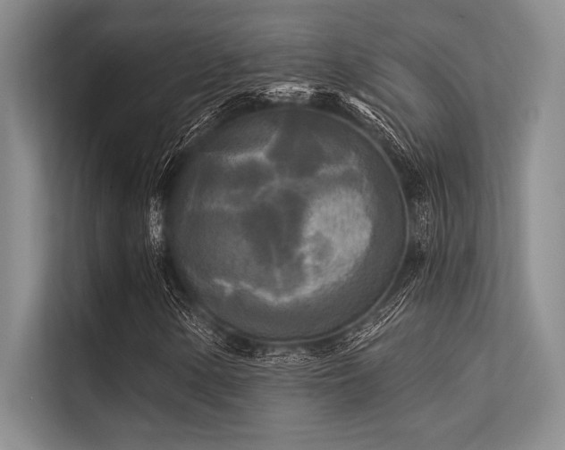 X0000113301154200909211115