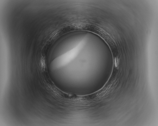 X0000113301155200909211115