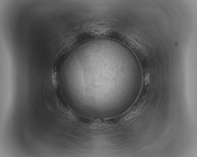 X0000113301156200909211115