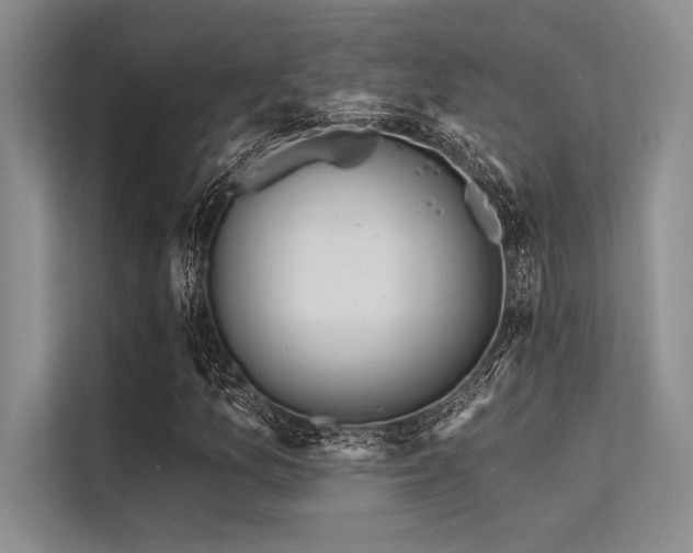 X0000113301157200909211115