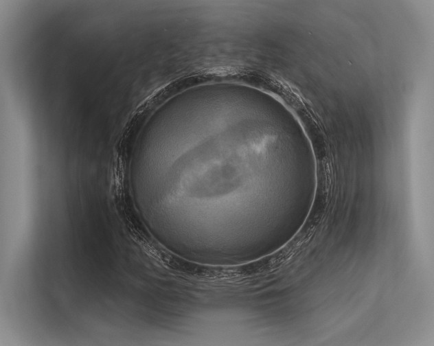 X0000113301158200909211115