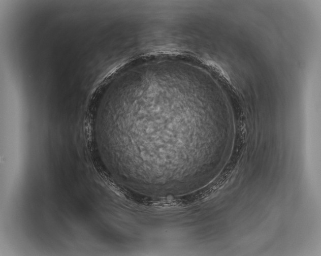 X0000113301159200909211115