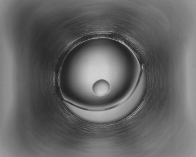 X0000113301161200909211115