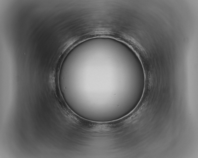 X0000113301162200909211115