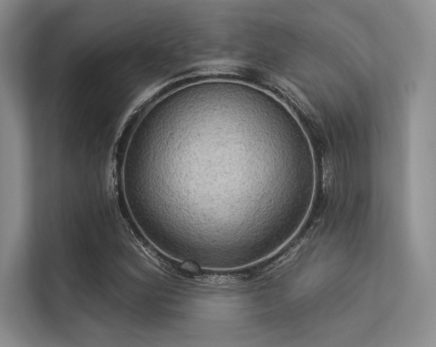 X0000113301164200909211115