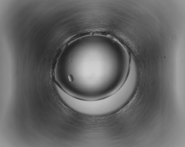 X0000113301169200909211115