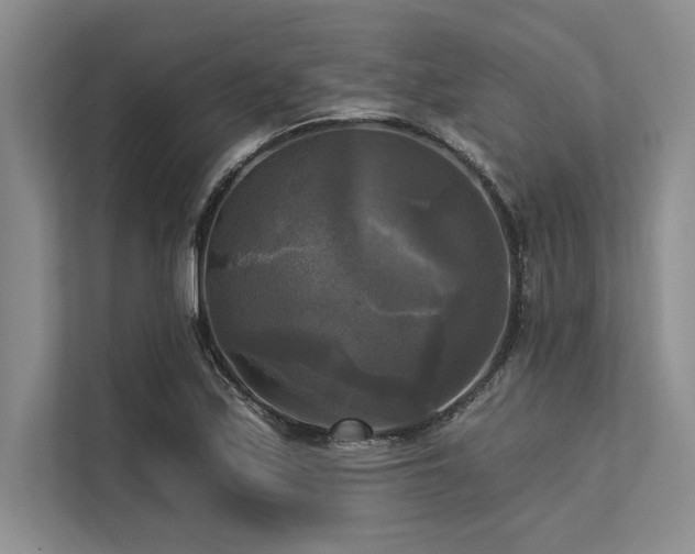 X0000113301171200909211115