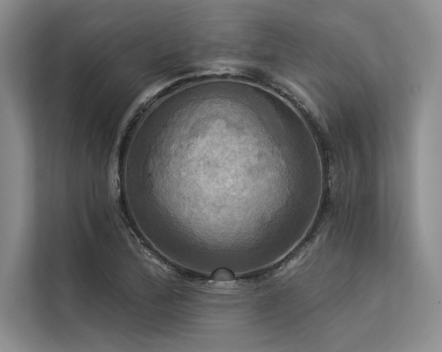 X0000113301172200909211115