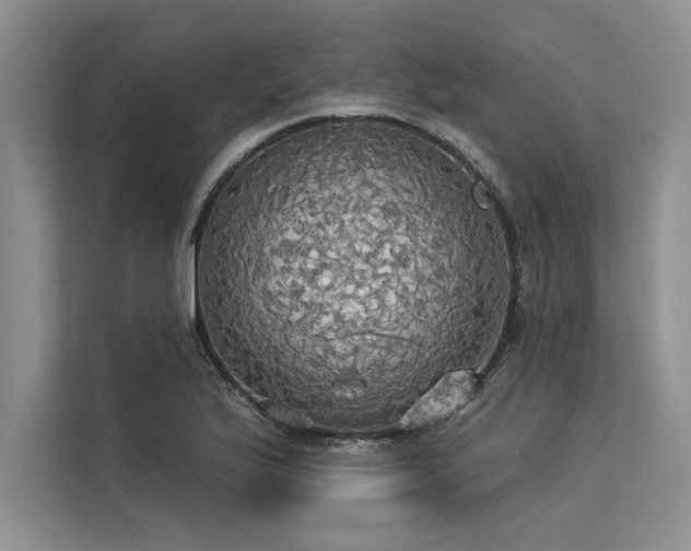 X0000113301175200909211115