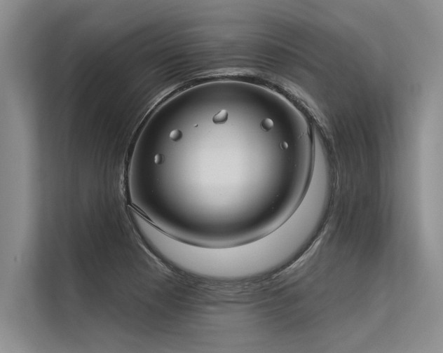 X0000113301177200909211115