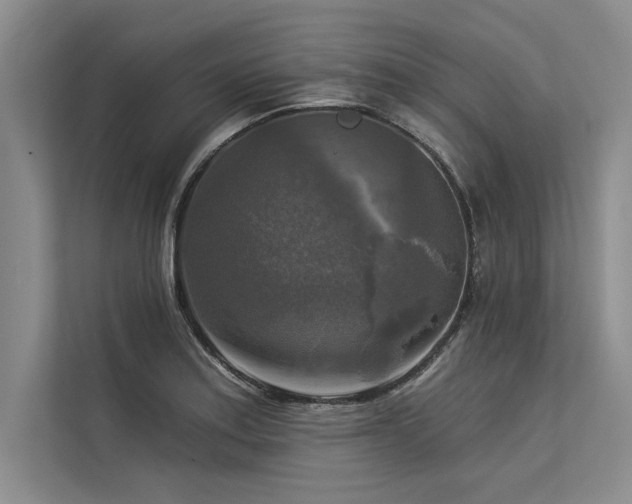 X0000113301179200909211115