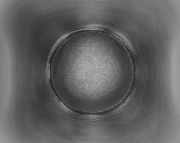 X0000113301180200909211115