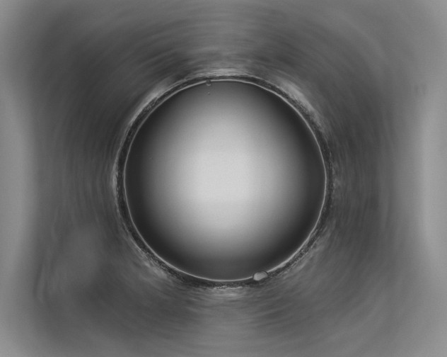 X0000113301181200909211115