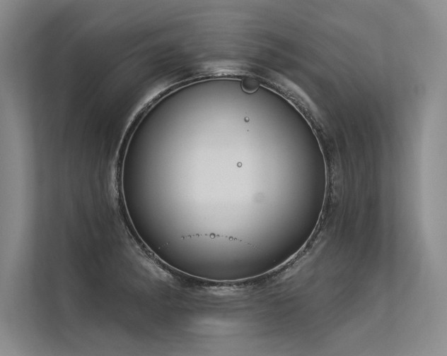 X0000113301182200909211115